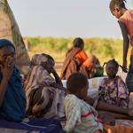 Militia attack on hospital in Darfur came in waves, WHO says