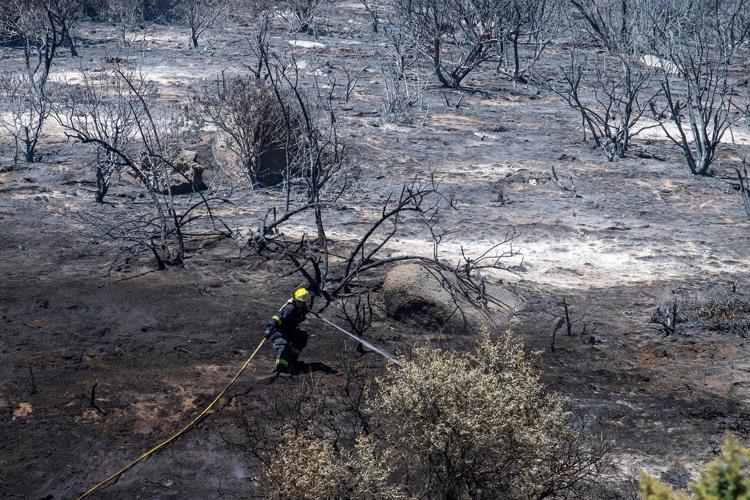 Wildfires are more extreme in Europe and North America, but global burning is oddly decreasing
