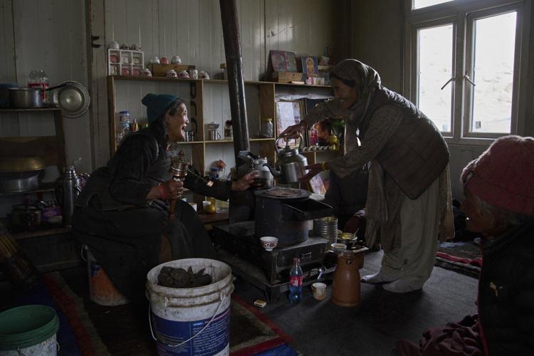 High in India’s Himalayan mountains, yak herders struggle to survive a warming world