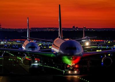 Part of Frankfurt Airport's power supply cut overnight by a dormouse, but effect on flights limited