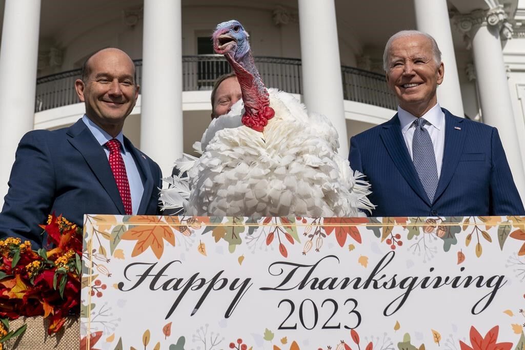 Biden Pardons National Thanksgiving Turkeys While Marking His 81st ...