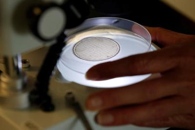 Scientists feel interference in research has lessened but still occurs: survey