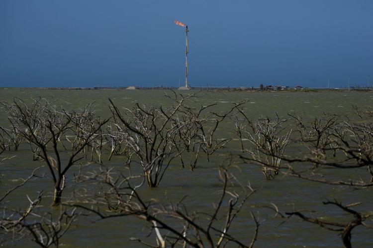 Colombia's presidential runoff could impact the future of the Amazon rainforest and fossil fuels
