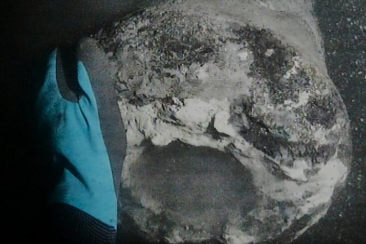 Danish warship sunk by Nelson's British fleet discovered after 225 years