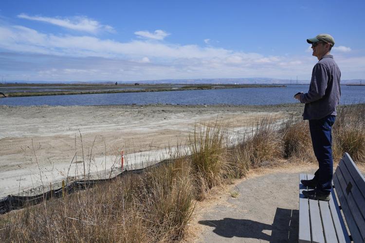 Coastal communities restoring marshes, dunes, reefs to protect against rising seas and storm surges