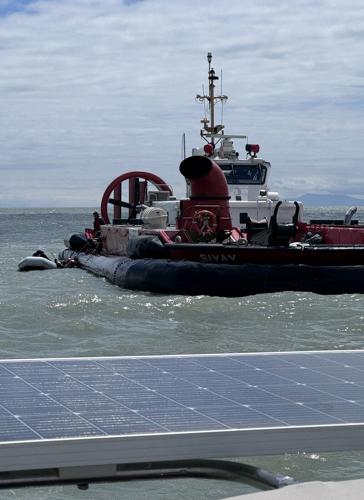 B.C. sailors tell of harrowing choices in rescue of charter sinking survivors