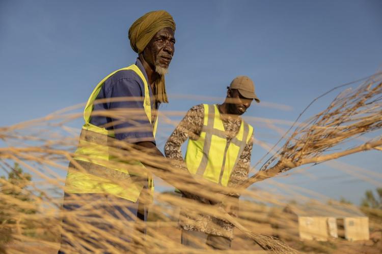 Refugee firefighters in Mauritania battle bushfires to give back to the community that took them in