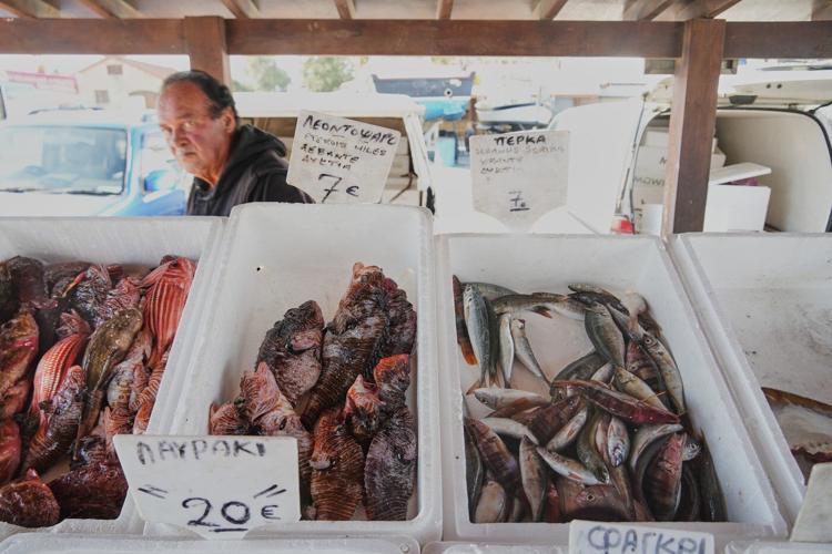 Cypriot fishermen battle invasive lionfish and turn them into a tavern delicacy