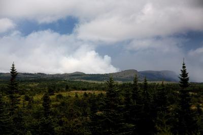 Wildfire in Nova Scotia grows; cooler temperatures help firefighters in N.L.