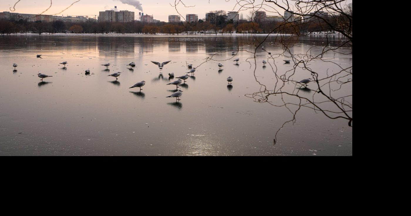 Freezing rain and ice disrupt travel across central and eastern Europe ...