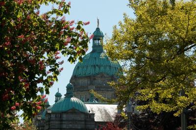 B.C. government experts including engineers, foresters expand strike provincewide