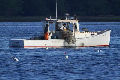 Lawsuit over California group's do-not-eat listing for American lobster dismissed