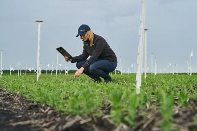 L'IA peut rendre l'agriculture plus efficace, disent des experts