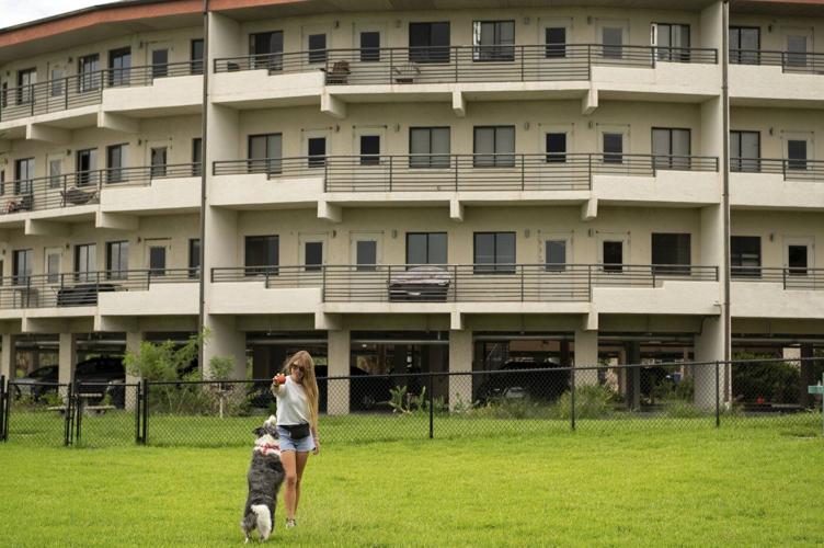 At some colleges, move-in day includes students' dogs and cats