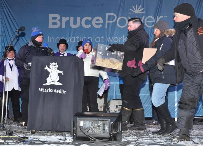 Groundhog Day 2025: Willie, Fred and Sam at odds over spring’s arrival