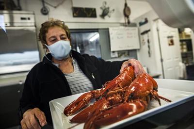 Les homards dans les Maritimes sont en bonne santé, même si le nombre diminue un peu
