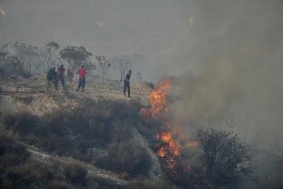 Fatal wildfire on Cyprus caused by 'carelessly discarded cigarette,' report finds