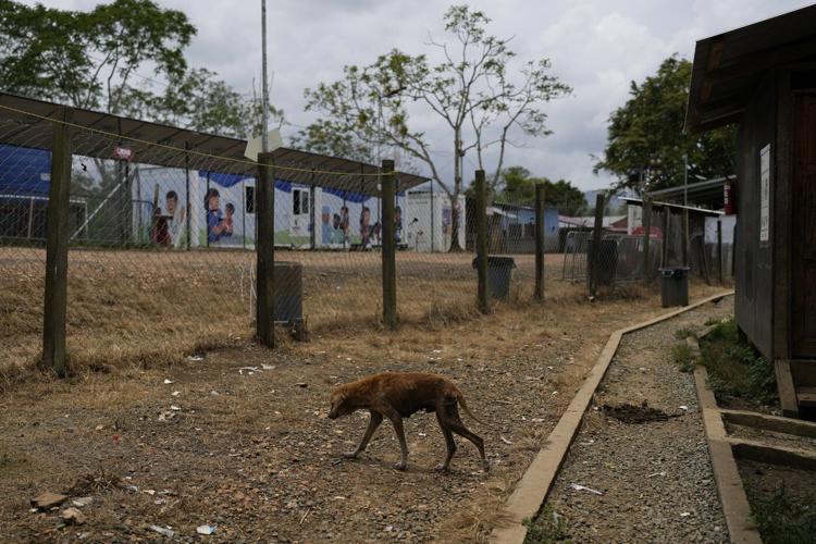 Once a migratory highway, the Darien Gap has been left empty under Trump crackdown