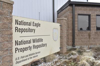 Man who killed eagles on a Native American reservation gets nearly 4 years in prison
