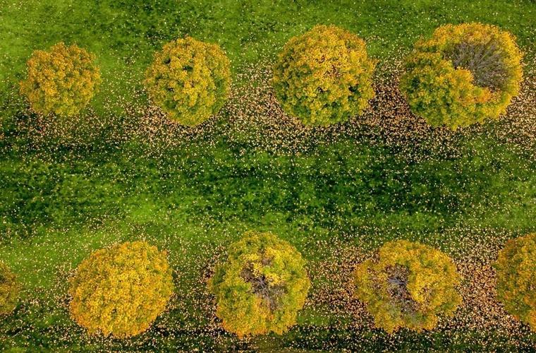 Treaty against fossil fuels floated at UN climate summit