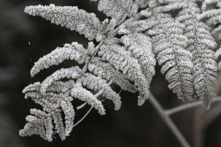 PHOTO COLLECTION: Winter Weather