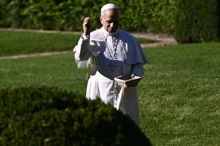 Pope feeds fish as he opens Vatican's ambitious model of sustainable farming and education