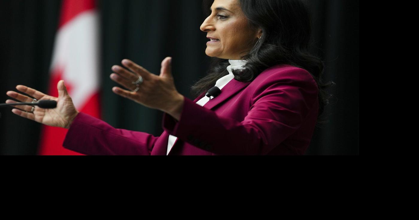 Anand offers Brazil 5M in energy financing, seals wildfire pact amid trade talks | National News