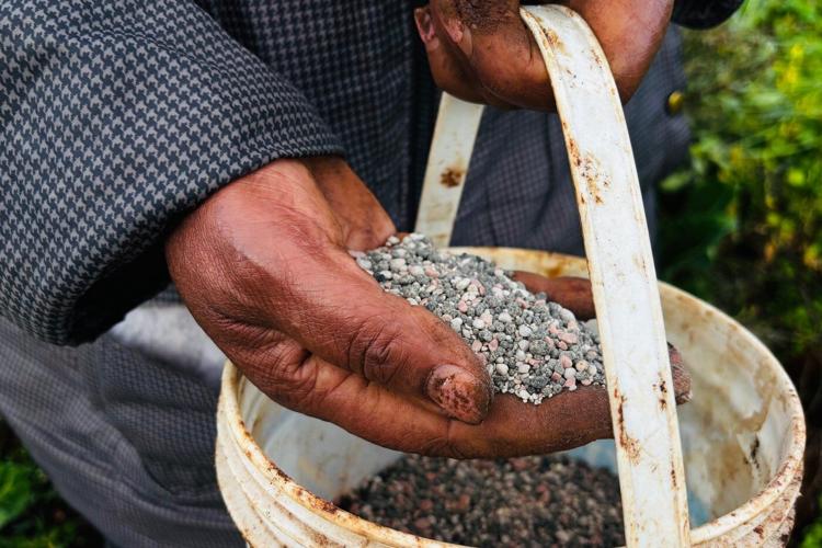The war in Iran sparks a global fertilizer shortage and threatens food  prices | Environment News | thecanadianpressnews.ca