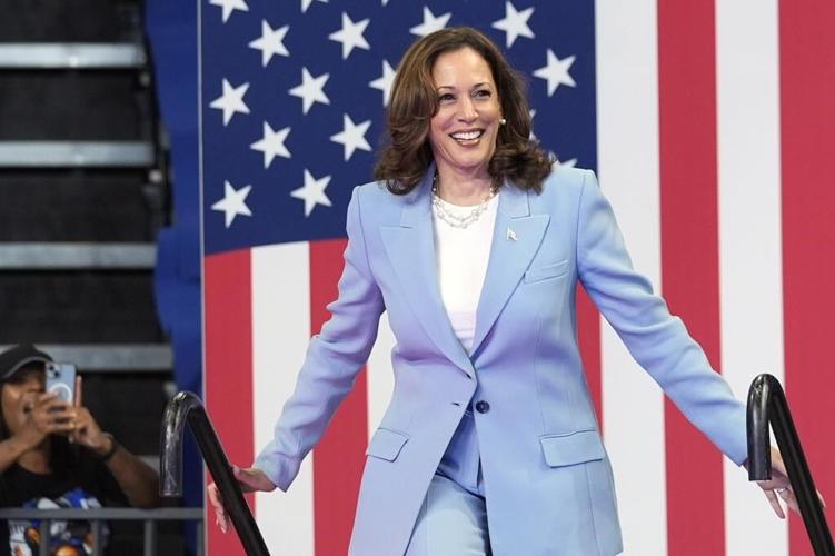 Harris wins Democratic presidential nomination in virtual roll call. Here's how the process worked