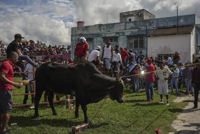 Mexican town continues bull running tradition despite legal struggle over bullfights in capital