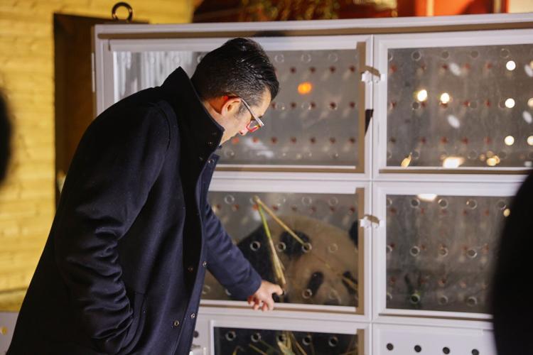 France says 'bon voyage' to 2 giant pandas as they head back to China