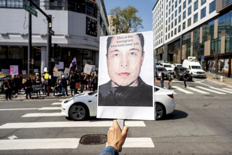Protests against Elon Musk's purge of US government swarm Tesla showrooms