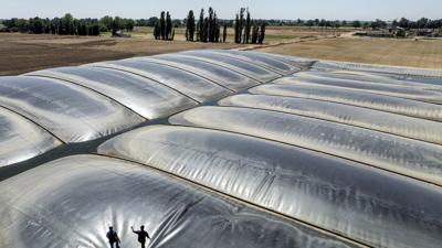 al groups sue over California support for polluting biofuels