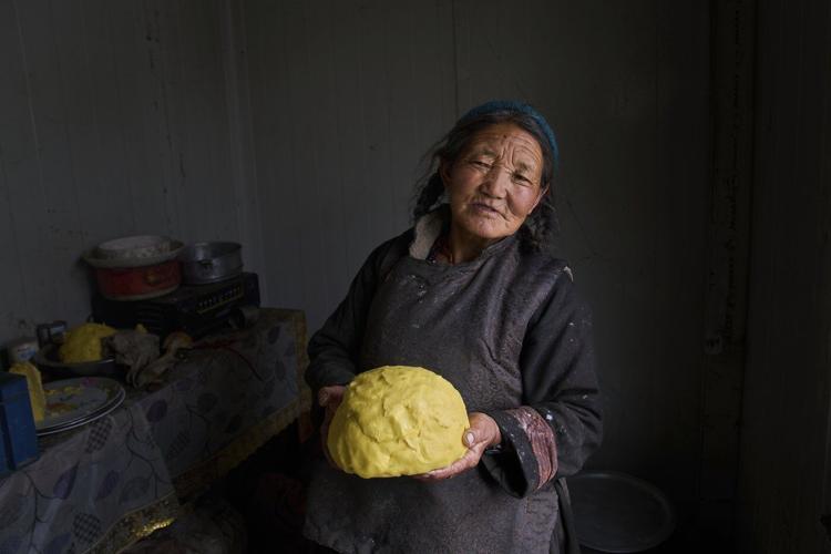High in India’s Himalayan mountains, yak herders struggle to survive a warming world