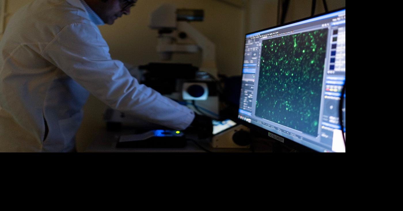 Autoimmune diseases can strike any part of the body, and mostly affect ...