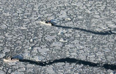 2024 sees record warm temperatures, less sea ice cover in Gulf of St. Lawrence