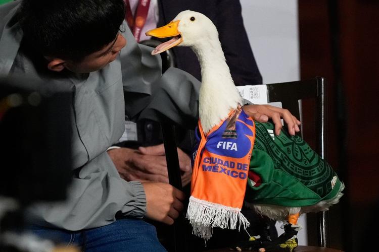 Merlin the duck steals the spotlight at President Sheinbaum's news briefing