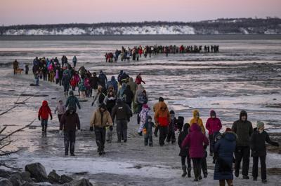 Carcass of endangered fin whale washes up near Alaska's largest city