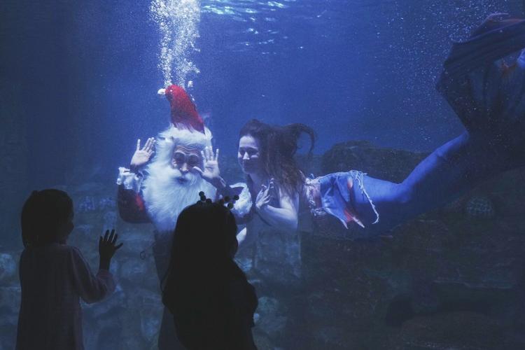 PHOTO COLLECTION: AP Top Photos of the Day, Monday, December 23, 2024