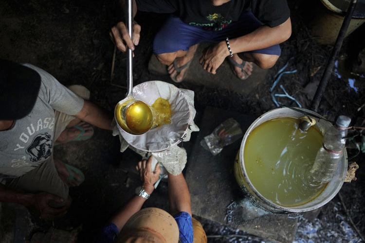 Growing demand for patchouli oil is driving the industry in Indonesia, but at what cost?