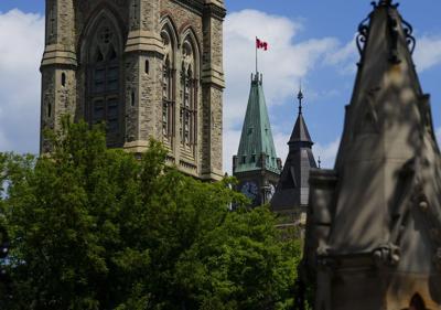 Immigration department blames 'unclear' guidance for citizenship document recalls