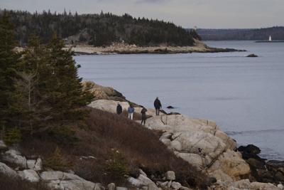 Halifax utility diverting millions of cubic metres of wastewater into harbour, basin
