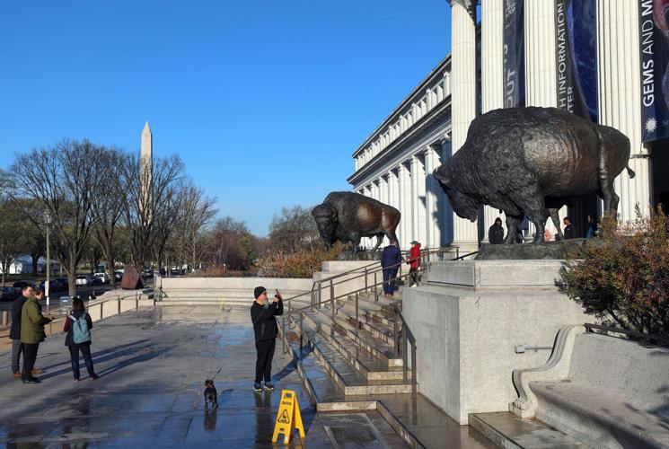 America's official mammal, the bison, gets a bronze tribute for the country's 250th birthday