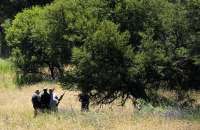 Escaped tiger in South Africa found and euthanized