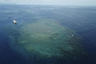 Great Barrier Reef waters were hottest in 400 years over the past decade, study finds