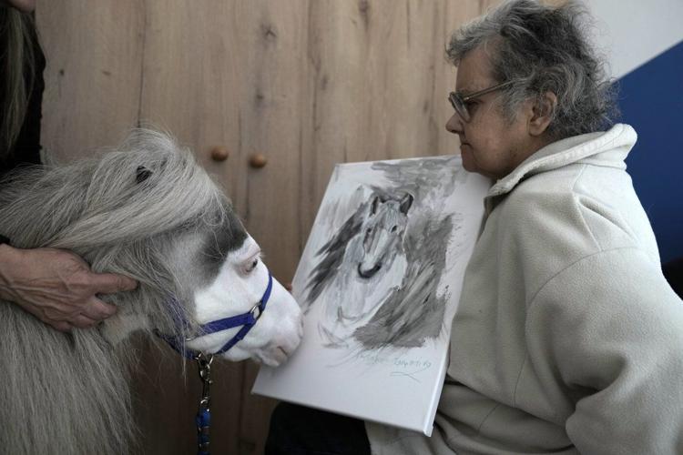 Greece's only miniature therapy horses bring joy to many, but their charity is struggling