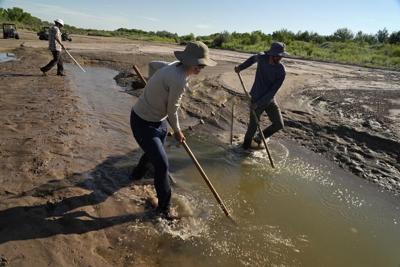 US agencies sued over fate of rare Rio Grande minnow