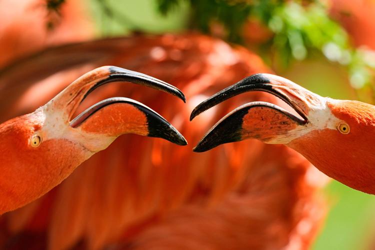 Photo-Gallery-Week-News 09