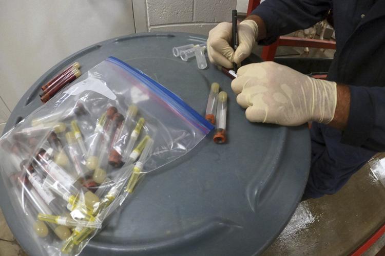 Biden health officials say they built up US pandemic defenses. Trump promises changes