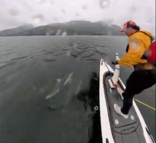 B.C. man in close encounter with dolphin pod while shooting video with watercraft